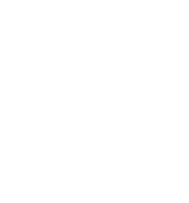 IT consulting