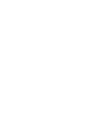 Project Manager